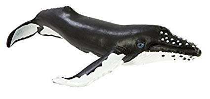 Safari Ltd Wild Safari Sea Life – Humpback Whale – Realistic Hand Painted Toy Figurine Model – Quality Construction from Safe and BPA Free Materials – For Ages 3 and Up