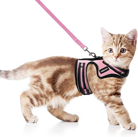 rabbitgoo Escape Proof Cat Harness and Leash for Walking, No Pull No Choke Mesh Vest Harnesses for Small Kittens, Comfortable Pet Vest Jacket for Safety Outdoor Activity, Pink, Medium