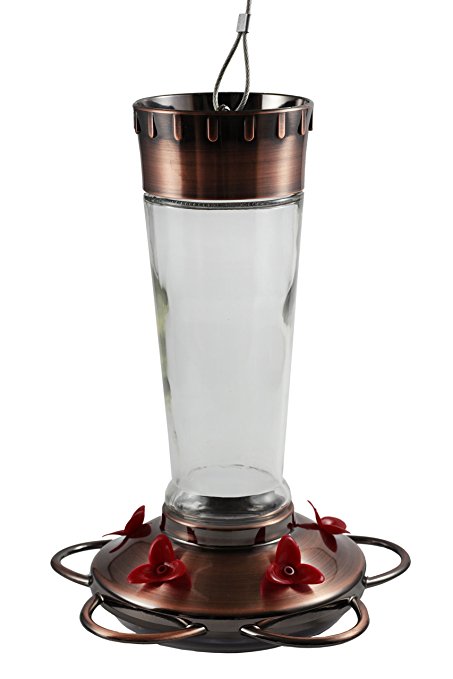 Durable Hanging Bottle Glass Hummingbird Copper Color Feeder Attract More Hummingbirds to Your House & Outdoor Garden Watch Hummers from Your Window. Features 5 Red Flower Feeding Ports 13 Fluid Oz Cp