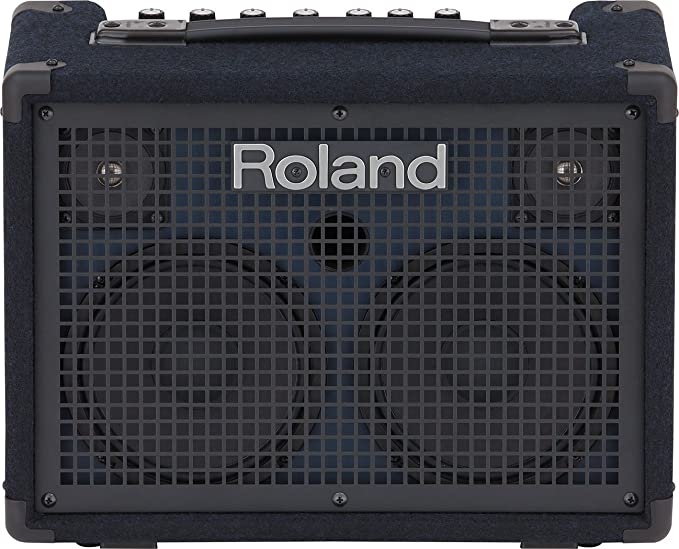 Roland Battery-Powered Stereo Keyboard Amplifier, 30 watt (15W   15W) (KC-220)