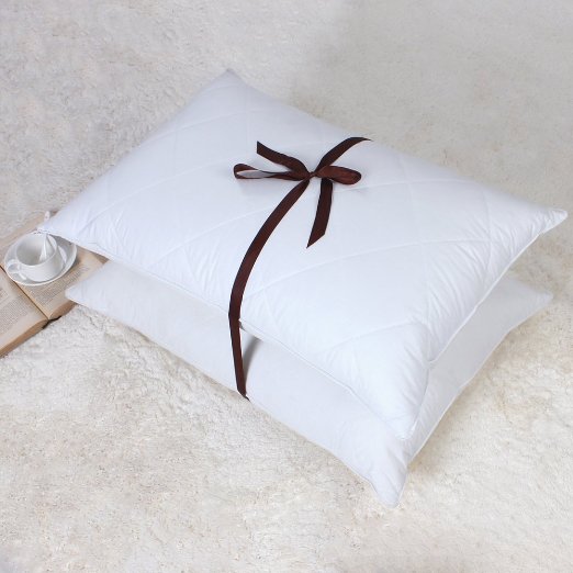 White Goose Feather Bed Pillow - 600 Thread Count Egyptian Cotton, Medium Firm,Soft S upport Queen Size, Set of 2