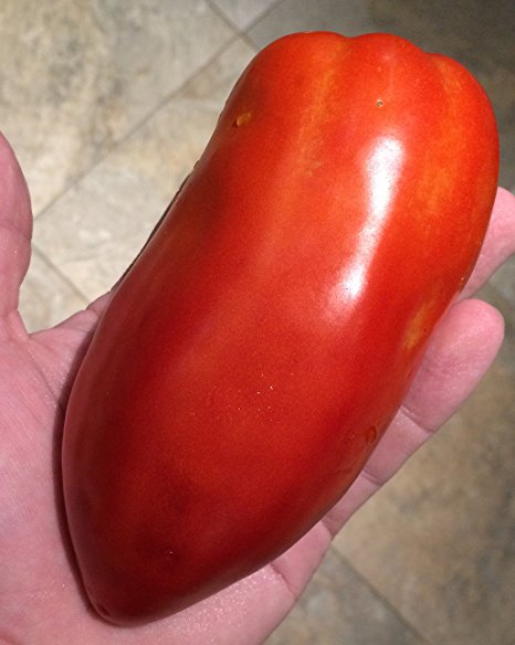 San Marzano Redorta Heirloom Tomato Premium Seed Packet