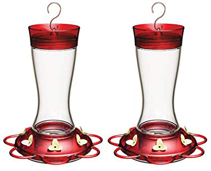 (2 Pack) More Birds Garnet Hummingbird Feeder with Multiple Feeding Stations, 20 Fluid Ounce Capacity