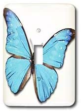 3dRose lsp_37350_1 Turquoise Large Butterfly Single Toggle Switch