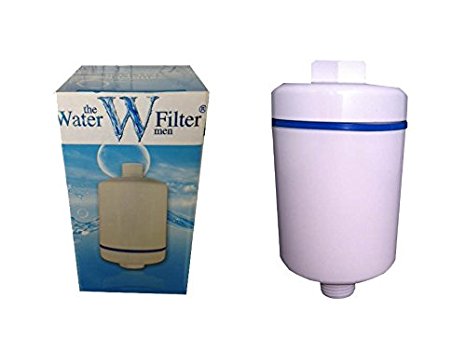 Inline Shower Water Filter x1 - Filters Lime and Chlorine For Healthier Hair And Skin