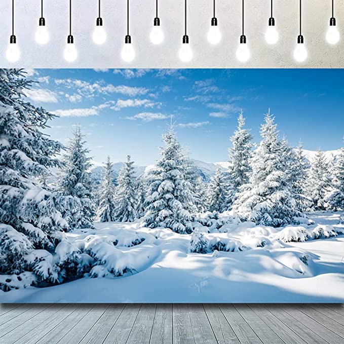 CSFOTO 10x8ft Winter Landscape Backdrop Winter Forest Ice and Snow World Theme Baby Shower Banner Christmas New Year Party Background for Photography Kids Adults Photo Wallpaper