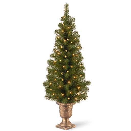 National Tree 4 ft. Montclair Spruce Entrance Tree with Clear Lights