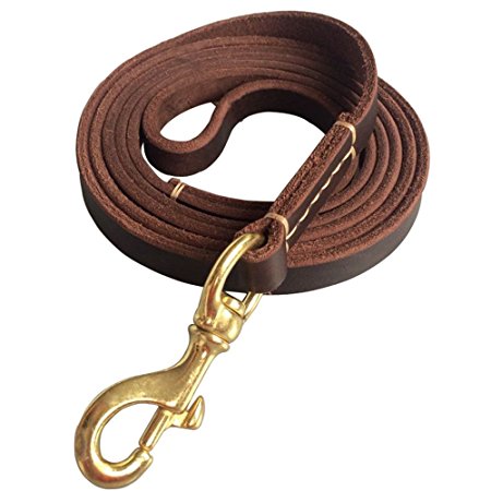 Fairwin Brown 6FT/ 5FT Genuine Leather Dog Leash Leads Rope for Large/ Medium/ Small Dogs Training/ Walking