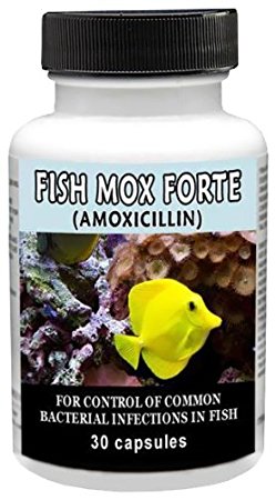 Fish Mox Forte (Amoxocillin) 500mg 30 Capsules