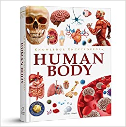 Knowledge Encyclopedia - Human Body