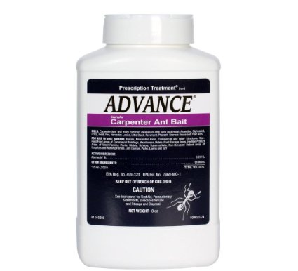 Advance Carpenter Ant Bait-8 oz 669578