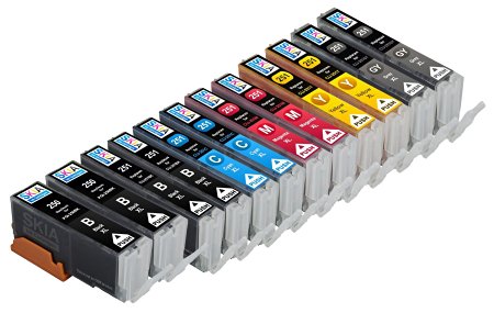 Skia Ink Cartridges ¨ 12 Pack Compatible with Canon 250 / 251(PGI-250BK CLI-251BK CLI-251C CLI-251M CLI-251Y CLI-251GY) for PIXMA MG6320, PIXMA MG7120