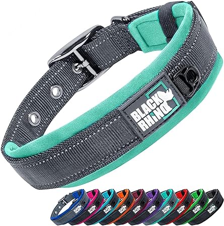 Black Rhino - The Comfort Collar Ultra Soft Neoprene Padded Dog Collar for All Breeds - Heavy Duty Adjustable Reflective Weatherproof (Large, Aqua/Grey)