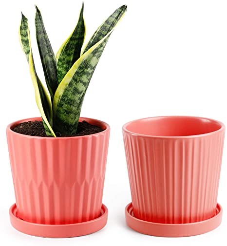 Greenaholics Medium Plant Pots - 6 Inch Coral Cylinder Ceramic Planters with Attached Saucers, Two Line Grain, Great House and Office Decor, Set of 2