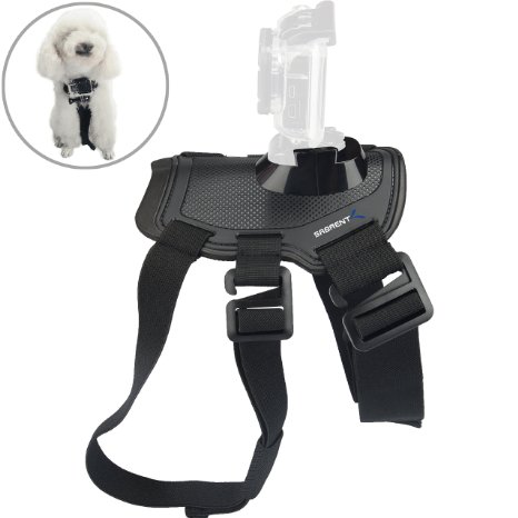 Sabrent Fetch Dog Harness Chest Strap Belt Mount for GoPro cameras Compatible with all GoPro cameras GP-DGFH