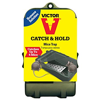 Victor Multiple Catch Mouse Trap M333