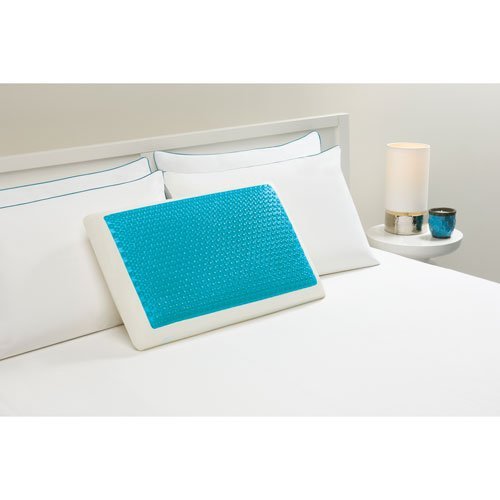 Hyrdraluxe Memory Foam Bed Pillow Color: Cool Cerulean