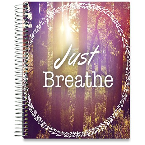 Planner 2018-2019 Academic Year Calendar - 8.5 x 11 Hardcover - 15 Months Dated April 2018 to June 2019 - Daily Weekly Monthly Spiral Planner with Stickers - Pages in Color | by Tools4Wisdom Planners