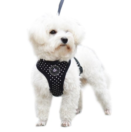 Soft Mesh Polka Dots Easy Walk Dog Harness with Matching Leash