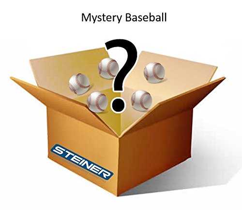 Steiner Sports Mystery Autographed Baseball Signed by One of These Players: Jesse Orosco, Jose Canseco, Mickey Rivers, Mike Torrez, Rafael Santana, Ralph Terry, Rick Anderson, Rollie Fingers, Rollie Fingers, Ron Blomberg, Ron Darling, Sid Fernandez, Ron Reed, Ron Swoboda, or Roy White