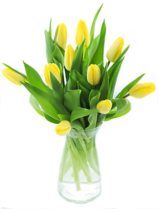 Mother's Day Collection: Fresh Cut Yellow Tulips with Vase - by KaBloom