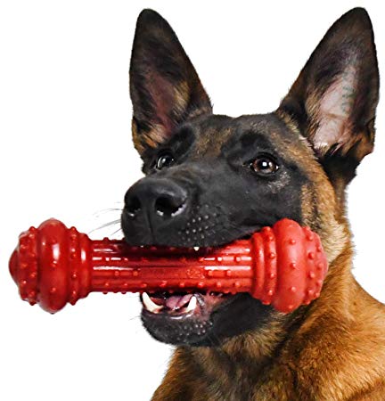 Pet Qwerks Bongo BarkBone Prime Rib Chew Toy - Tough Indestructible Extreme Power Chewer Bone, Designed for the Most Aggressive Chewers | Made in USA, FDA Compliant Nylon