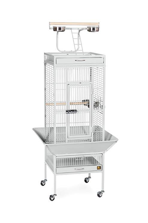 Prevue Pet Products Wrought Iron Select Bird Cage Black Hammertone 3151BLK