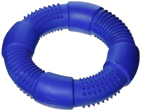 Chase 'n Chomp Go-Ring Pet Chew Toy