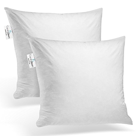 ComfyDown Set of Two, 95% Feather 5% Down, 28 X 28 Square Decorative Pillow Insert, Sham Stuffer - MADE IN USA