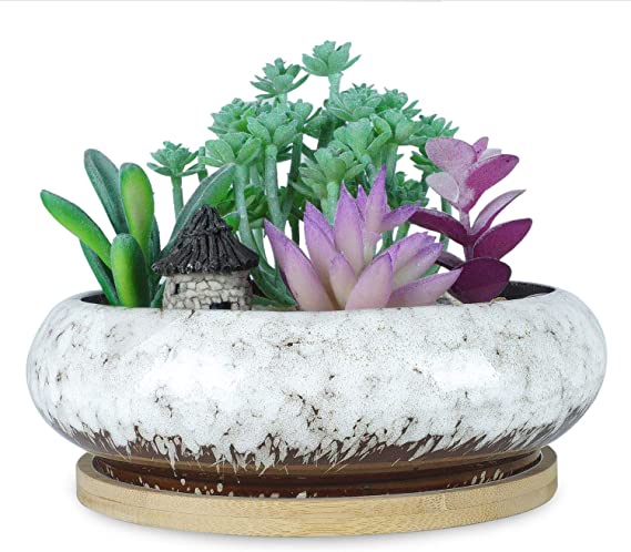 6.1 inch Round Succulent Planter Pots with Drainage Hole Bonsai Pots Garden Decorative Cactus Stand Ceramic Glazed Flower Container Bowl White, with Bamboo Tray