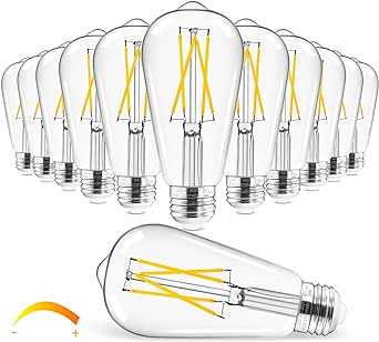 Hizashi Vintage LED Edison Bulb Dimmable, 6W Equivalent 60W, 3000k Soft White, E26 Base Led Light Bulbs, 700LM, High CRI 95  Eye Protection, Clear Glass, Pack of 12