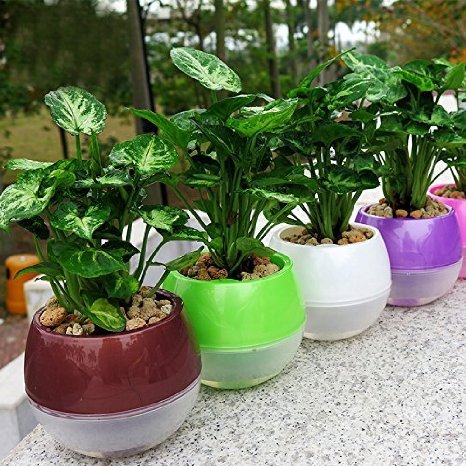 Mkono 5 Pack Self Watering Planter Plastic Flower Pot 3.9 Inch (Mixed Colors)