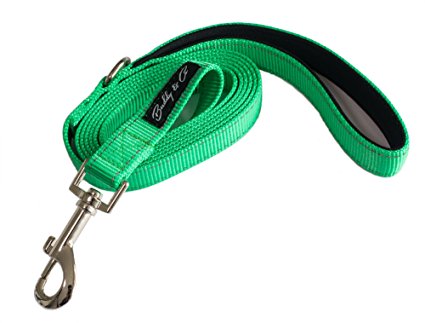 Buddy & Co. Nylon Dog Leash with Reflective Stitching for Nighttime Visibility (3/4-Inch Wide, 6ft Long)