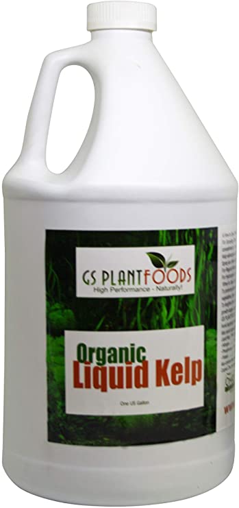 Liquid Kelp Organic Seaweed Extract Fertilizer Concentrate (1 Gallon)