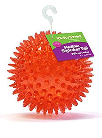 ROYAL PET Gnawsome TPR Squeaker Ball for Dogs, 3.5-Inch, Various Colors