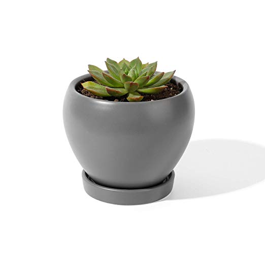 POTEY Plant Pot with Drainage Hole & Saucer - 4.8 Inches Grey Glazed Ceramic Planter for Indoor Plants Flower Succulent(Plant NOT Included)