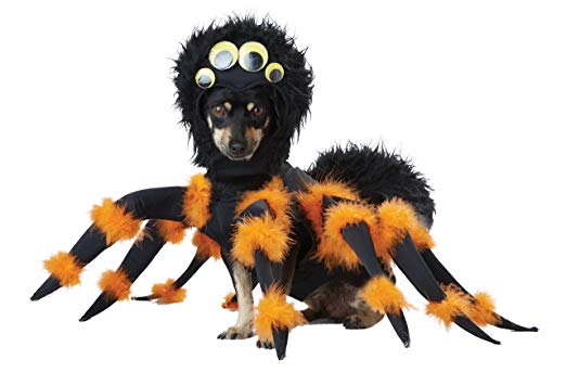 Spider Pup Costume for Pets