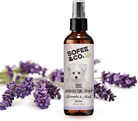 Sofee & Co. Natural Dog Puppy Deodorizing Grooming Spray Perfume Cologne - Odor Control Refresher. Groomer's Choice. Freshen Coats. Eliminate Odors. Use On Pets Bedding Furniture Room. Deodorant
