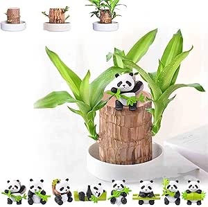 8Pcs Brazilian Wood Panda Pendant, Brazilian Wood Hydroponic Decoration, Mini Brazil Lucky Wood Accessaries, Tabletop Decoration Decorations, Cute Panda Lucky Brazil Wood Table Decor