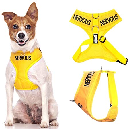 NERVOUS (Give Me Space) Yellow Color Coded Non-Pull Front and Back D Ring Padded and Waterproof Vest Dog Harness PREVENTS Accidents By Warning Others Of Your Dog In Advance