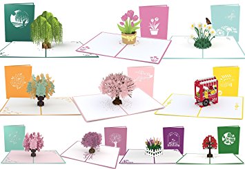 Lovepop Flowers and Trees Pop Up Card 10 Pack