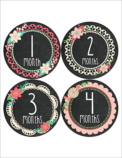 Months in Motion 352 Monthly Baby Stickers Baby Girl - Months 1-12 - Chalkboard