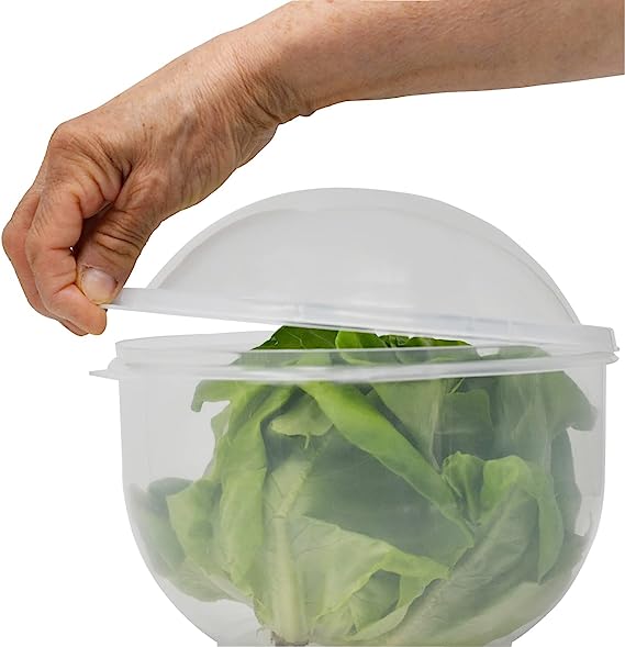Home-X Lettuce Keeper for Fridge - Lettuce Crisper Container, Vegetable Storage, Food Container, Air-Tight Bowl, Salad Freshness Preserver