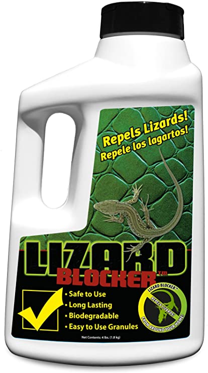 BuyBlocker All Natural Repellent, 4-Pound, Lizard Blocker