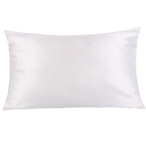 OOSILK Mulberry Silk Pillowcase with Hidden Zipper 19mm ,Cotton Underside, Queen (20in * 30in) White