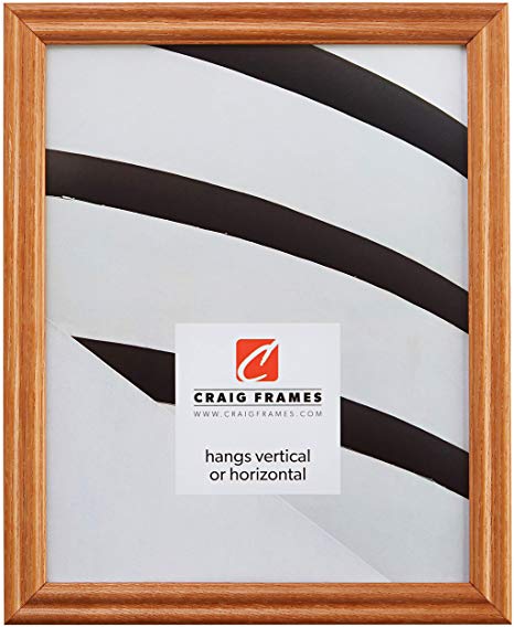 Craig Frames 200ASH 17 by 21-Inch Picture Frame, Wood Grain Finish, 0.75" Wide, Natural Brown