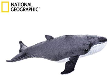 NATIONAL GEOGRAPHIC Baleen Whale Plush - Medium Size