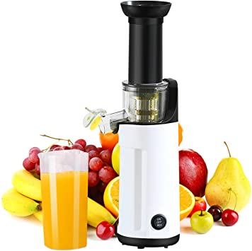 Masticating Juicer, Small Slow Juicer Cold Press Juicer machine With Upgrade Easy Clean Juicer Filter, Higher Juice Yield,120W Motor, Reverse Function,2 Juice Cup 1 Brush for Family Daily Use