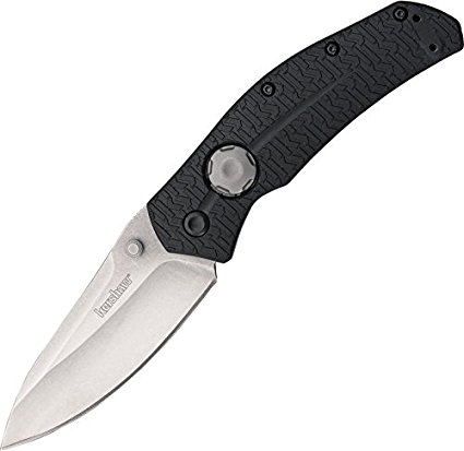 Kershaw 3812 Thistle Folding Knife