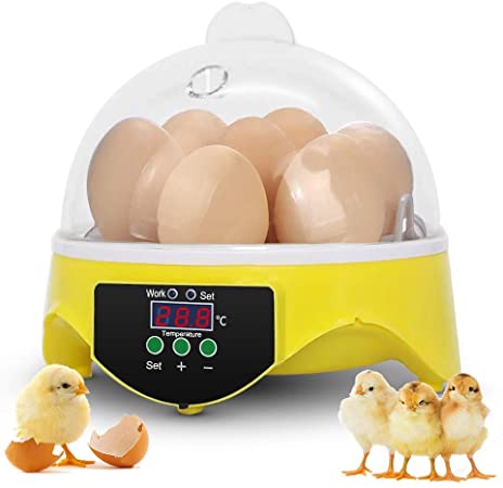 Mini Egg Incubator,FISOUL 7 Egg Automatic Hatcher Machine with Temperature Control, Clear General Purpose Incubators for Chickens Ducks Goose Birds (7)